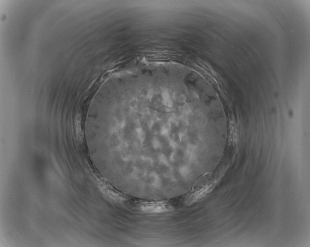 X0000086080377200703231411