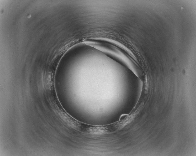 X0000086080378200703231411