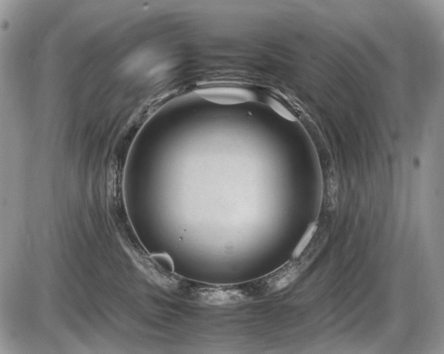 X0000086080379200703231411