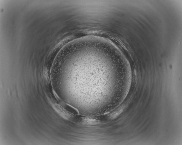 X0000086080380200703231411