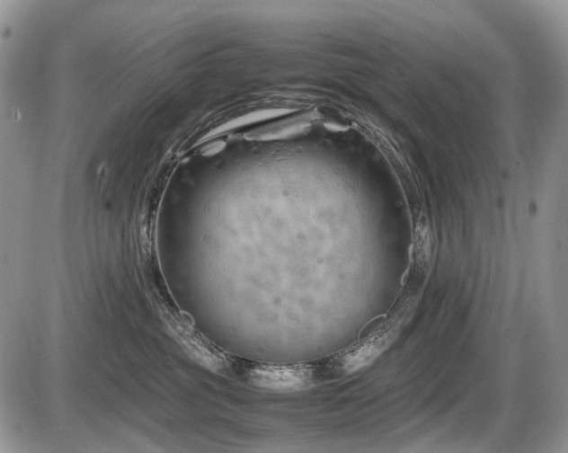 X0000086080381200703231411