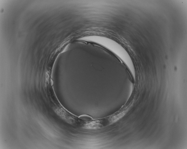 X0000086080382200703231411