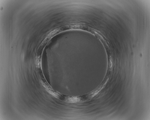 X0000086080383200703231411