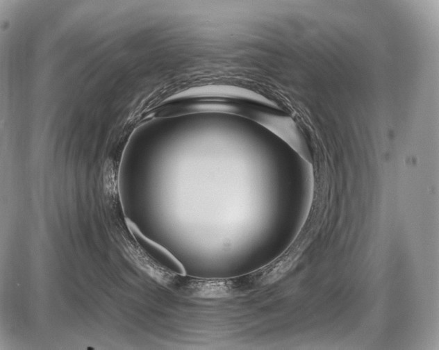 X0000086080384200703231411