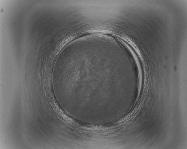 X0000086080385200703231410