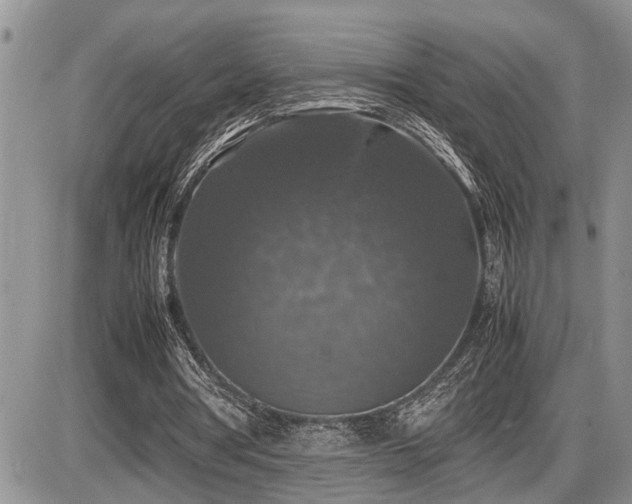 X0000086080386200703231410