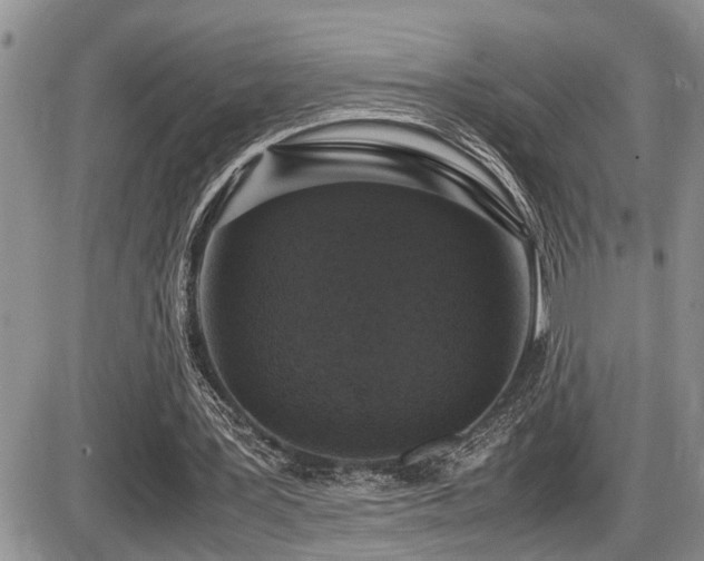 X0000086080387200703231410