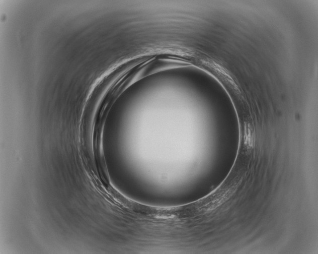 X0000086080388200703231410