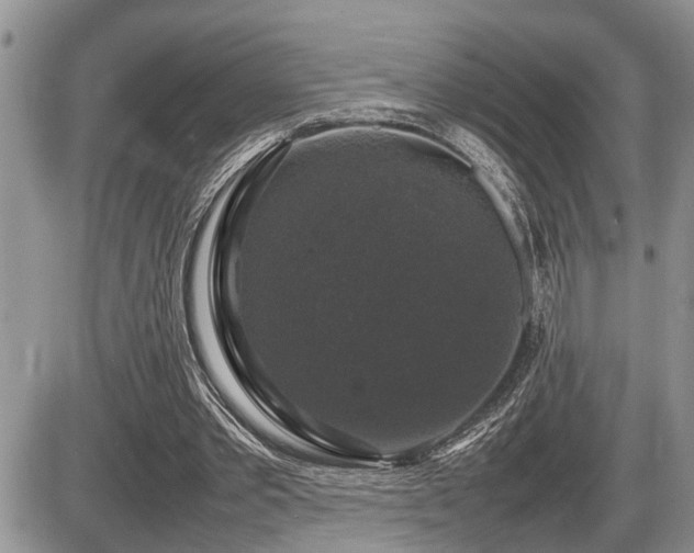 X0000086080389200703231410