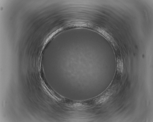 X0000086080390200703231410