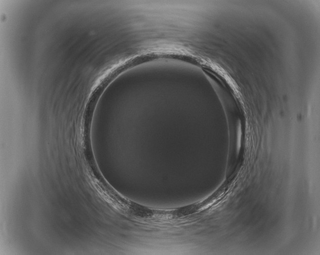 X0000086080391200703231410