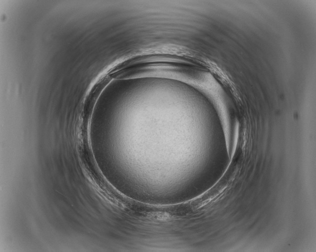 X0000086080392200703231410