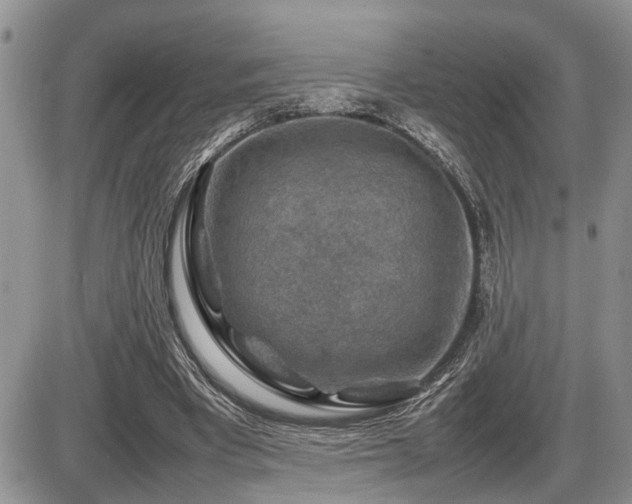 X0000086080393200703231410