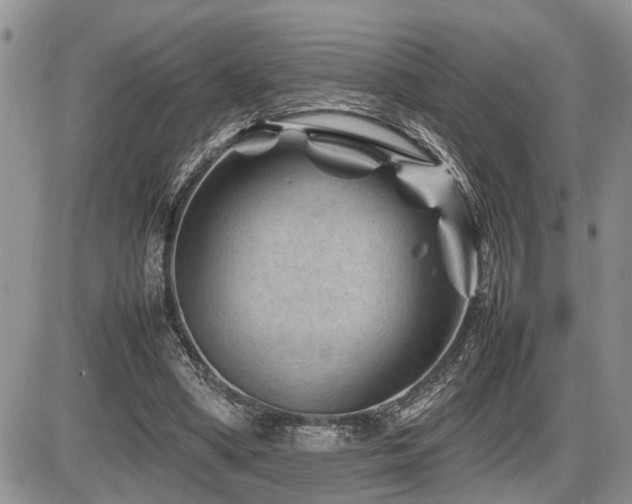 X0000086080394200703231410