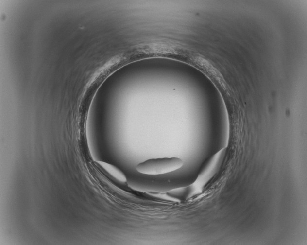 X0000086080395200703231410