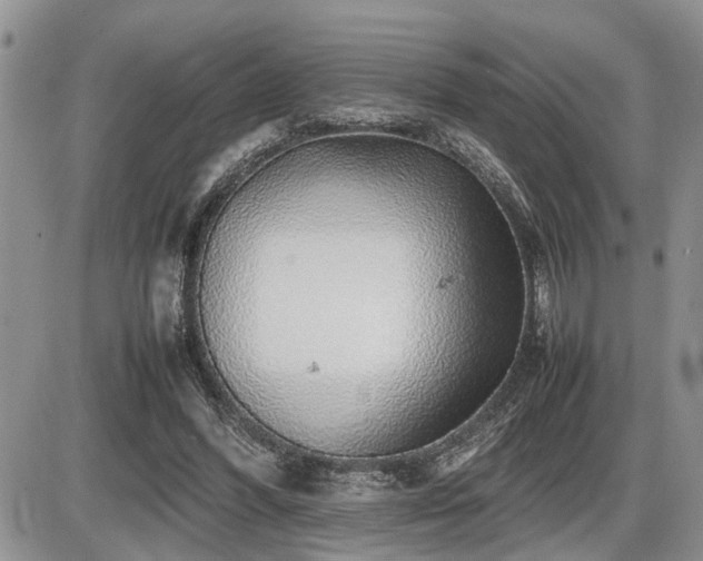 X0000086080396200703231410