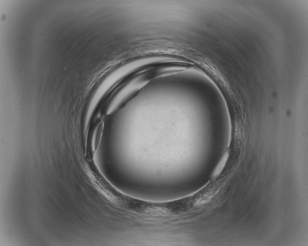 X0000086080397200703231410