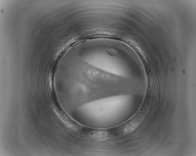 X0000086080398200703231410