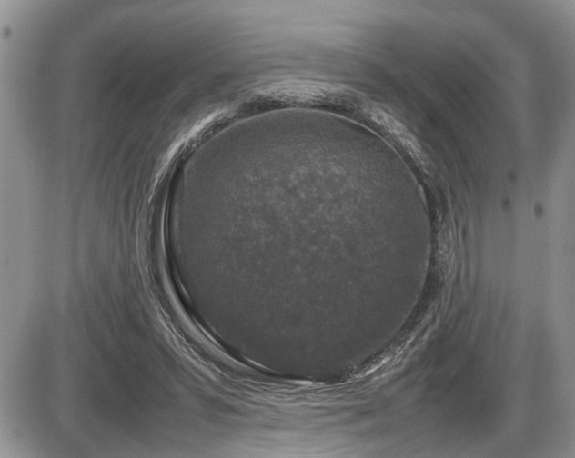 X0000086080399200703231410