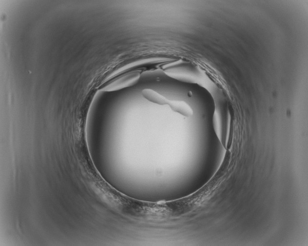 X0000086080401200703231410