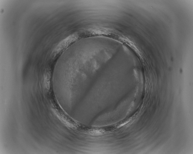 X0000086080402200703231410