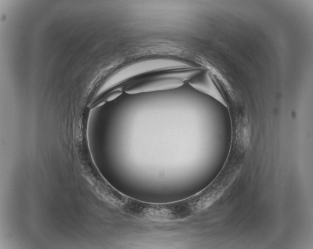 X0000086080403200703231410