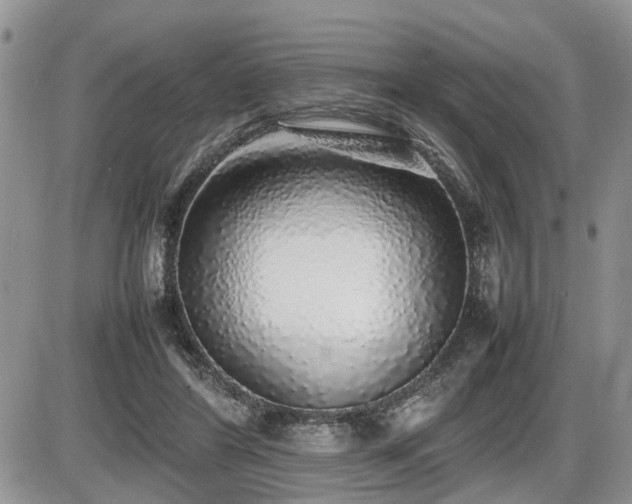 X0000086080404200703231410