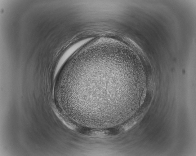 X0000086080405200703231410