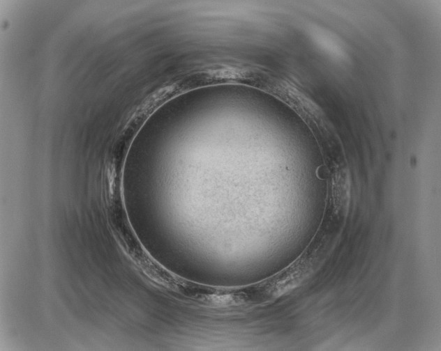 X0000086080406200703231410