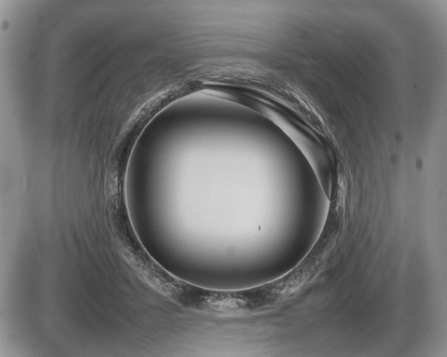 X0000086080407200703231410