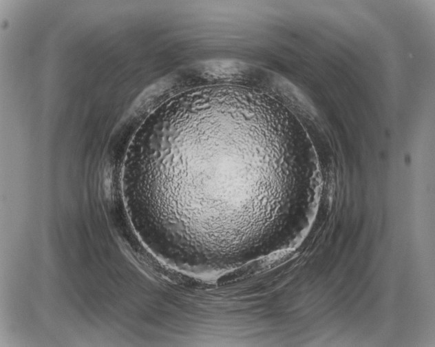 X0000086080408200703231410