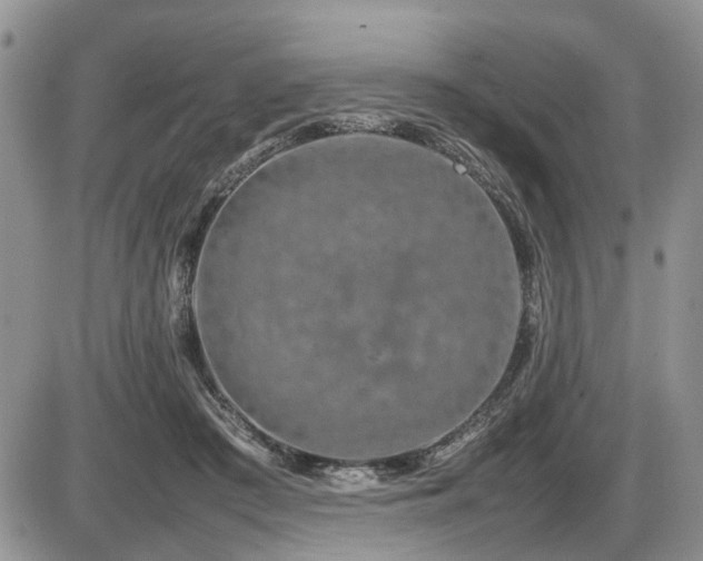 X0000086080409200703231410