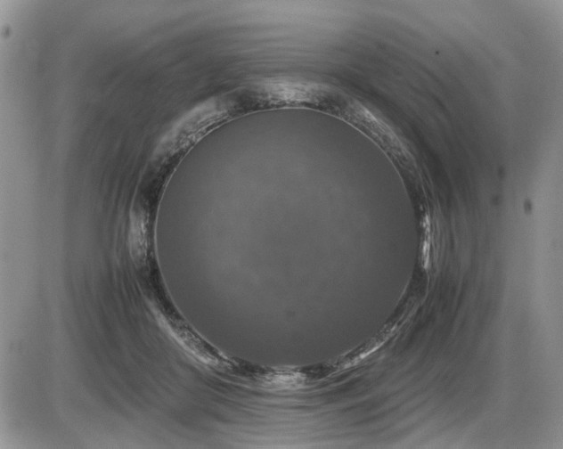 X0000086080410200703231410