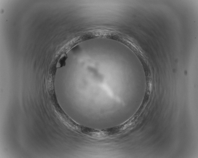 X0000086080411200703231410