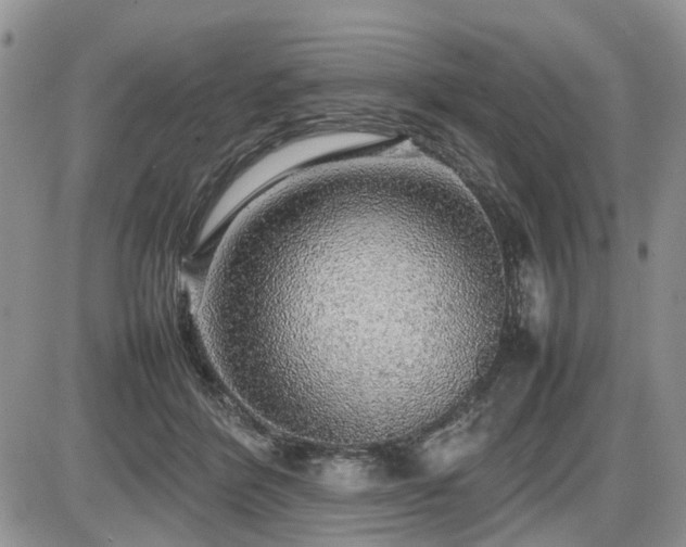 X0000086080412200703231410