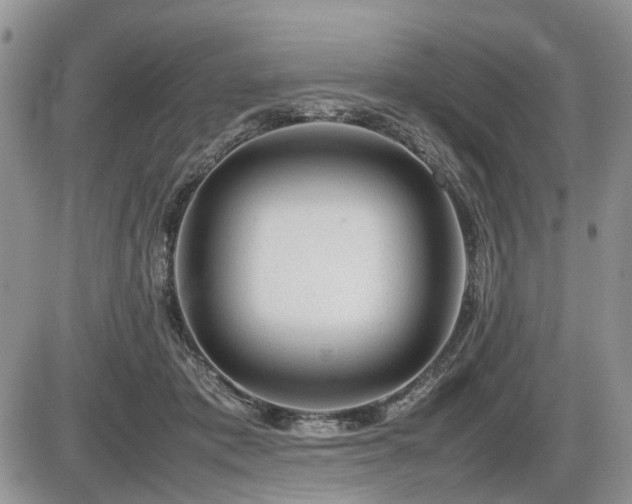 X0000086080413200703231410