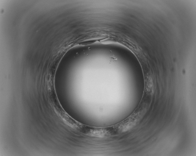 X0000086080414200703231410