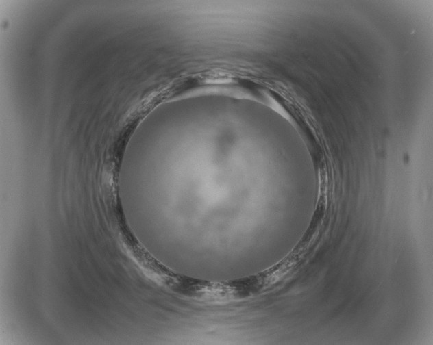 X0000086080415200703231410