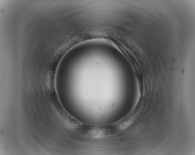 X0000086080416200703231410