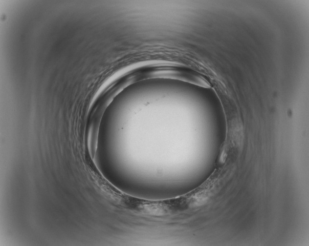 X0000086080417200703231410