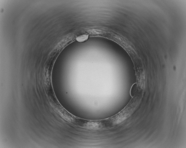 X0000086080418200703231409