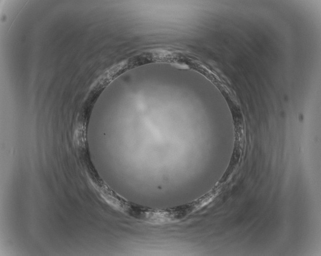 X0000086080419200703231409