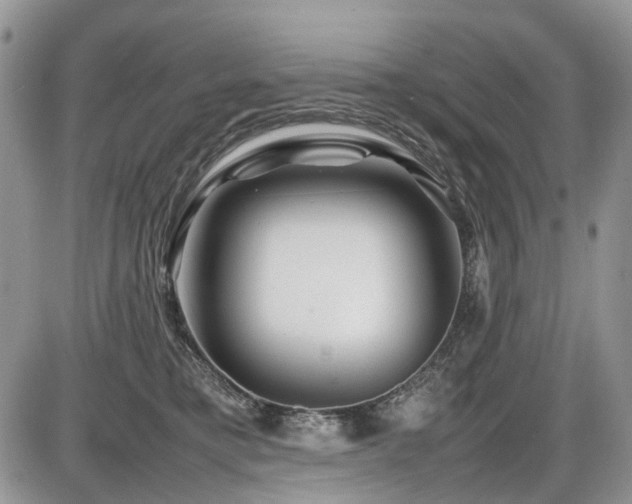 X0000086080421200703231409