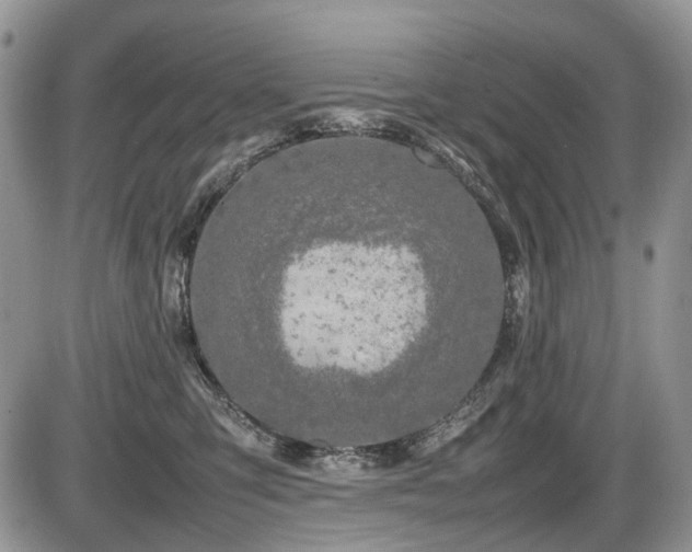 X0000086080423200703231409