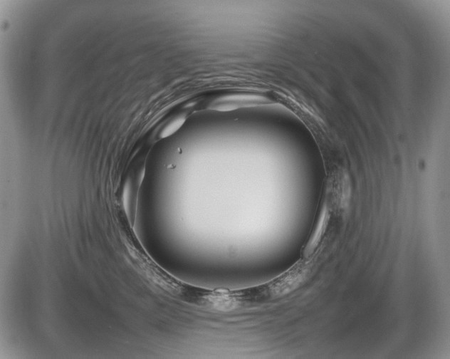 X0000086080425200703231409