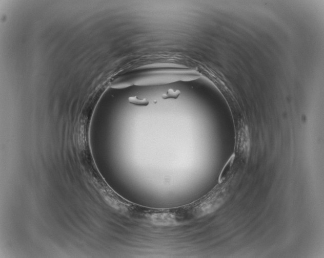 X0000086080426200703231409