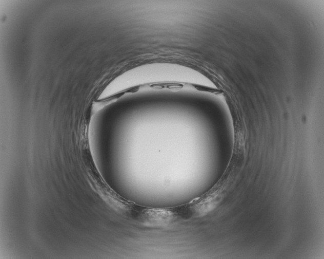 X0000086080429200703231409