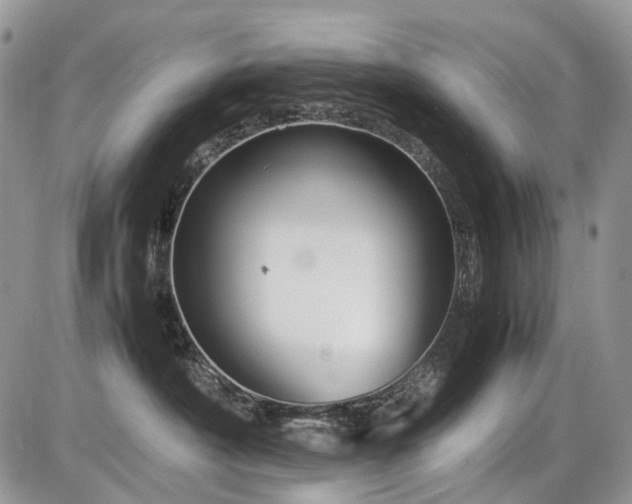 X0000086080430200703231409