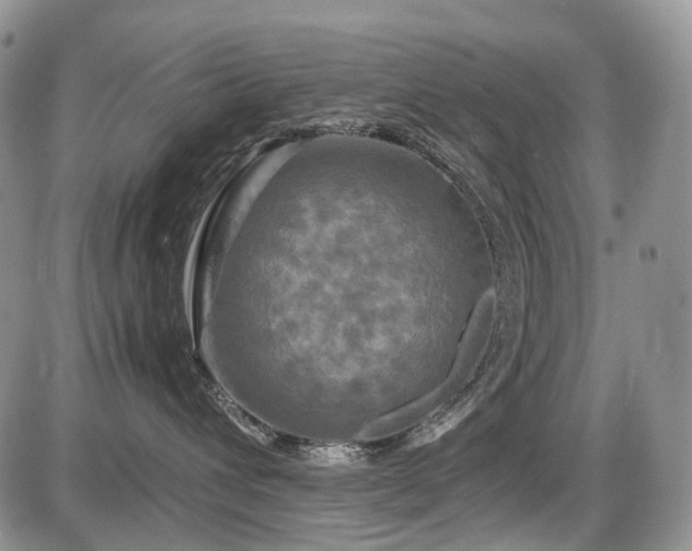 X0000086080432200703231409