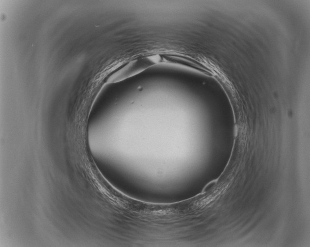 X0000086080433200703231408